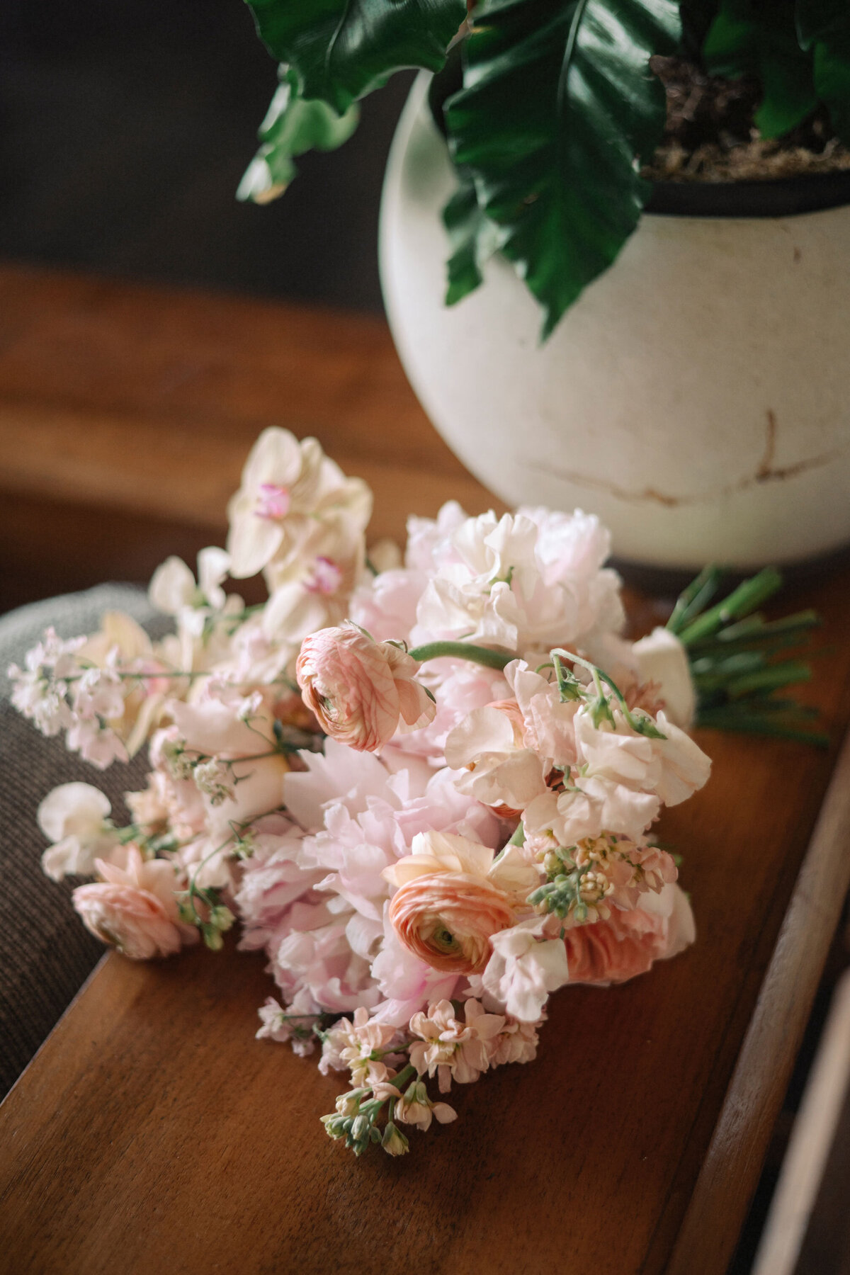 KatKeeWEDsp_200_3041