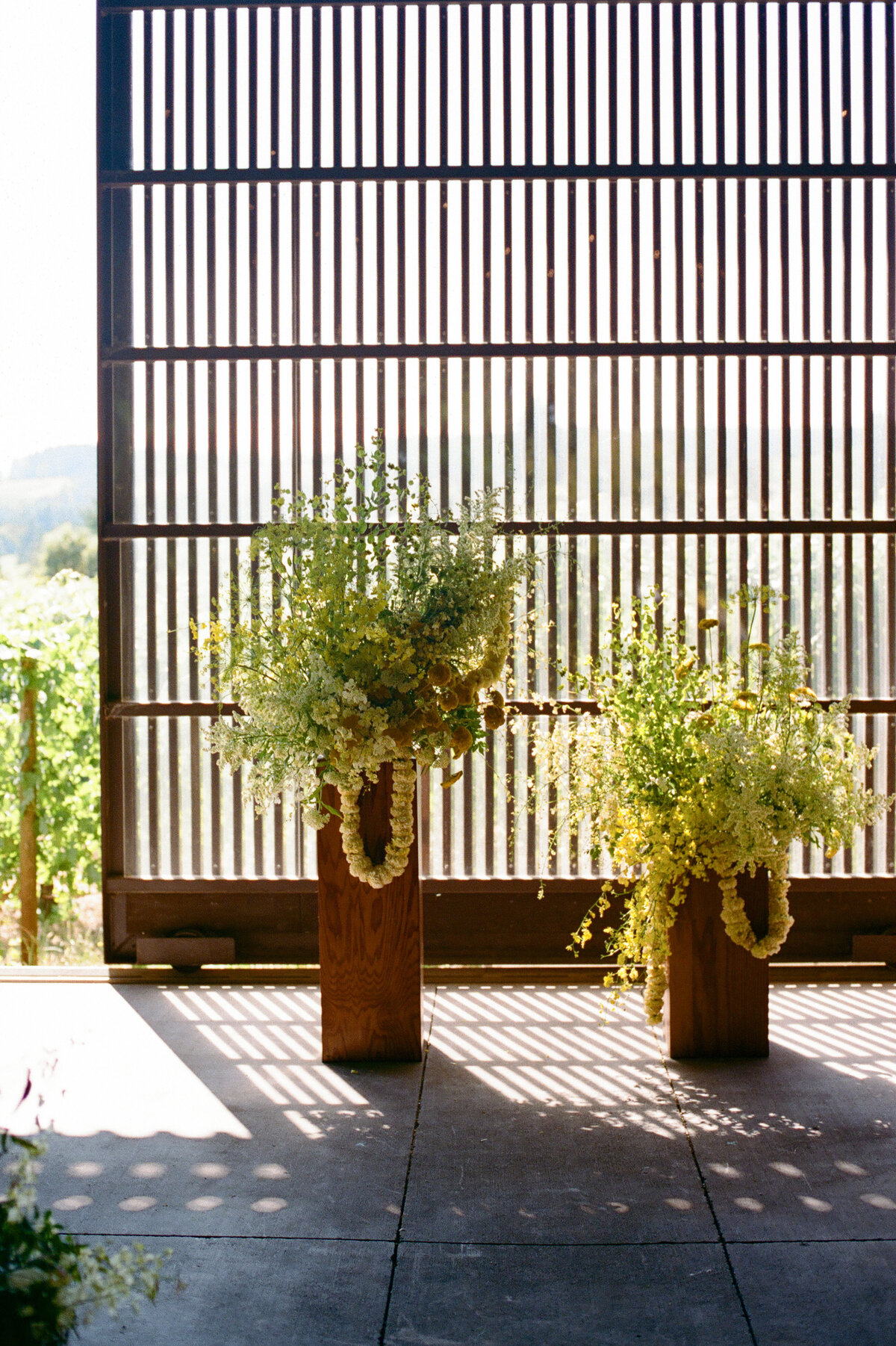 furioso-vineyard-wedding-f-86