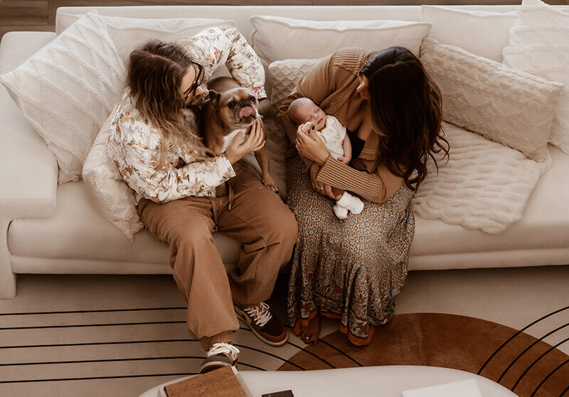Ariel view of New mom and dad cuddle newborn and puppy on couch