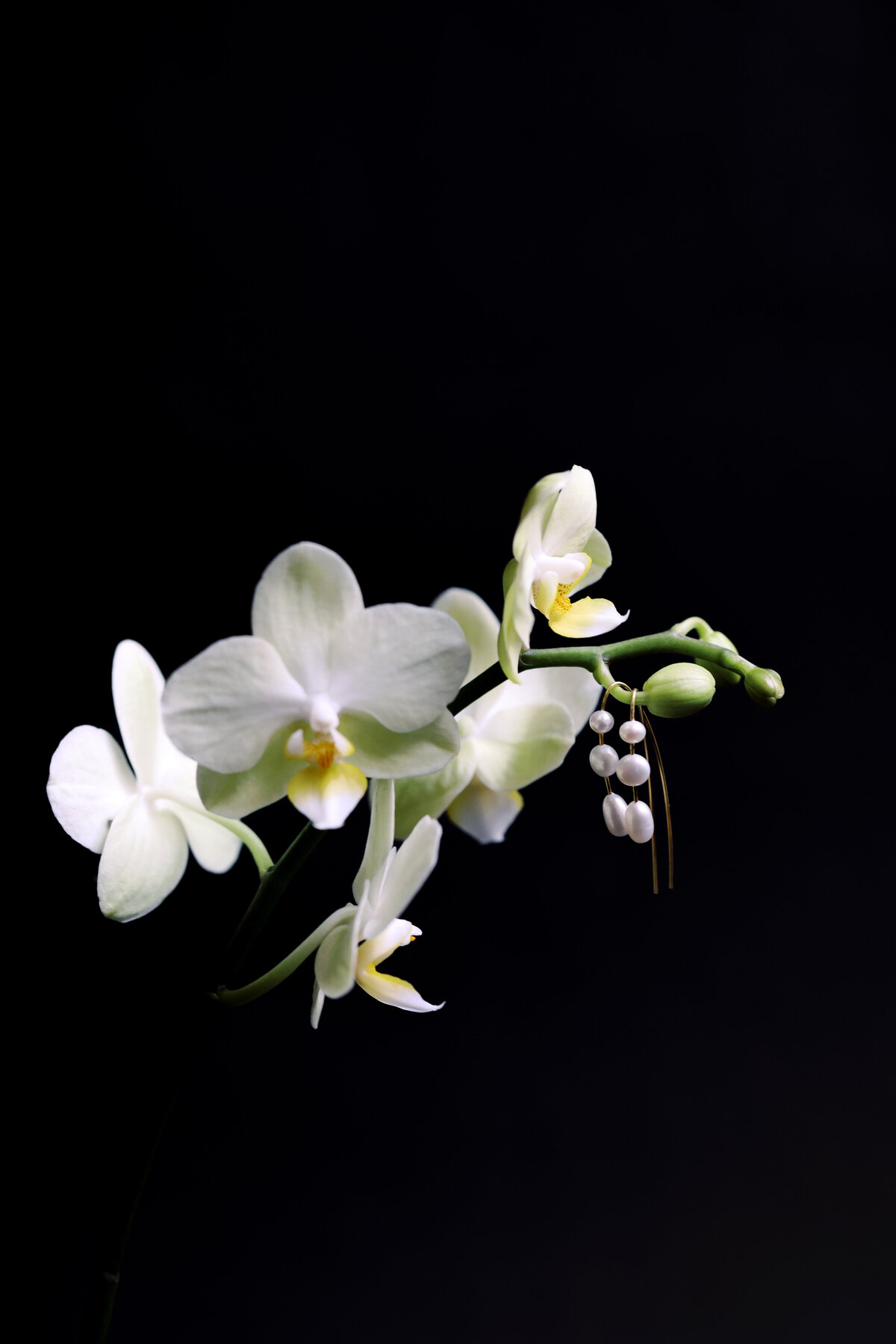 Product Photography in New York City 4