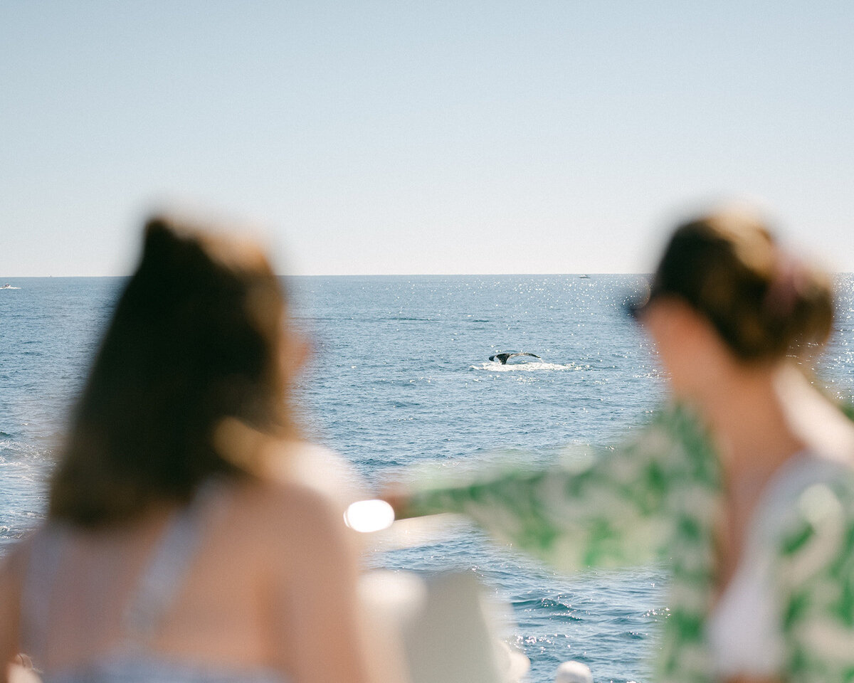 Cabo-Mexico-Wedding-Shannon-Michael-Sarah Woods Photography-174