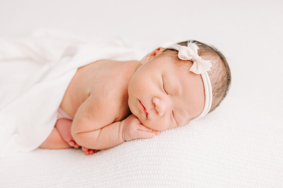 Ann Marshall Photography - Photography in Portland