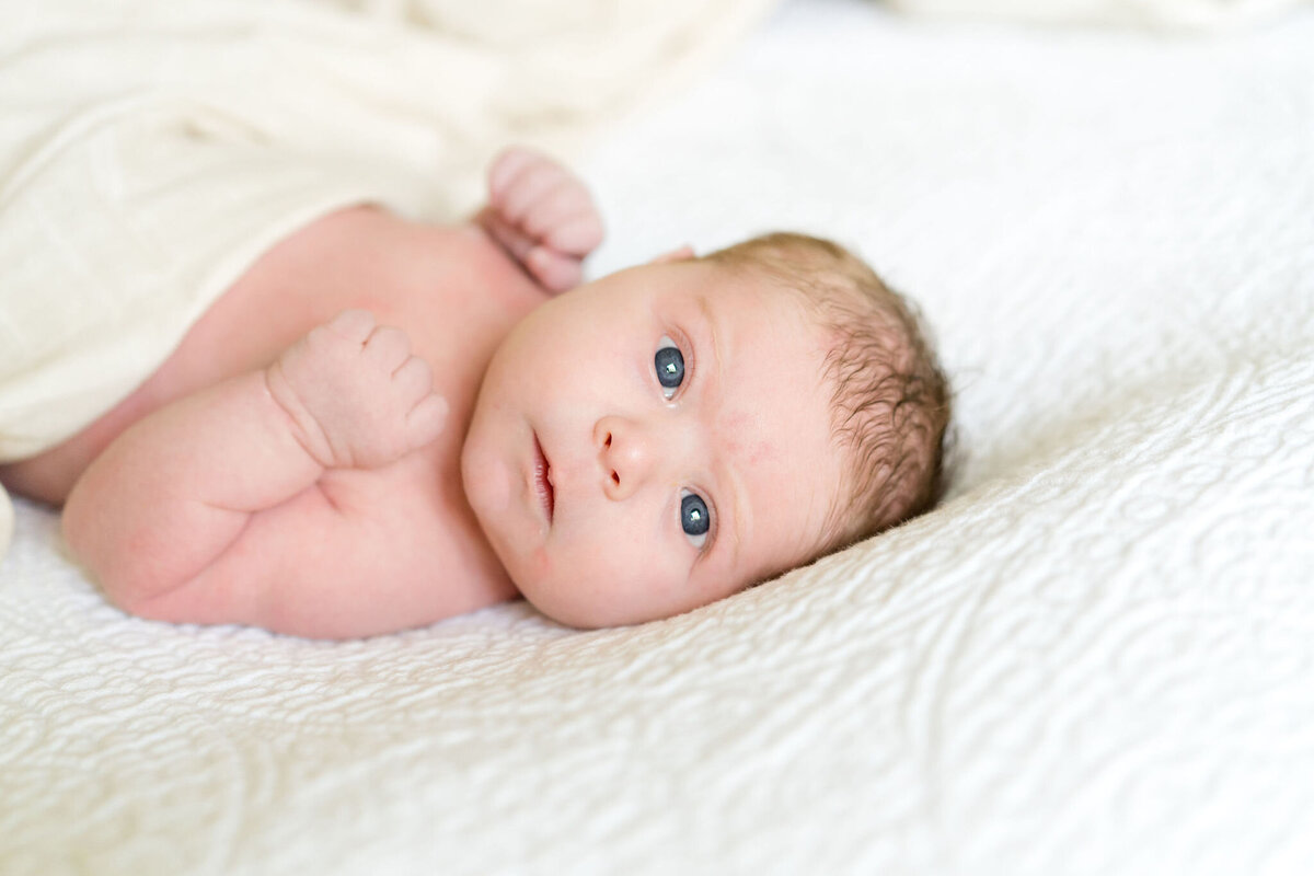 austin-newborn-photographer (27)