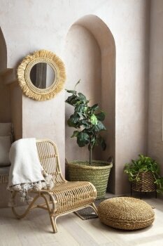 rattan_grass_mirror_image_2