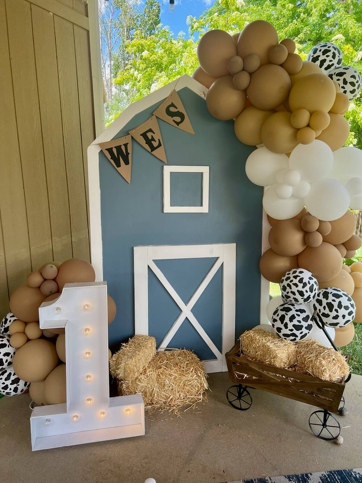 cowboy-farm-themed-party-kids-erie-co (4)
