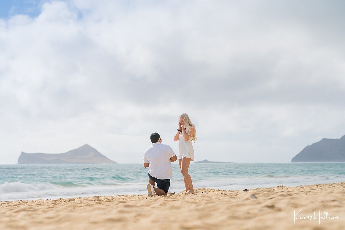 Hawaii proposal