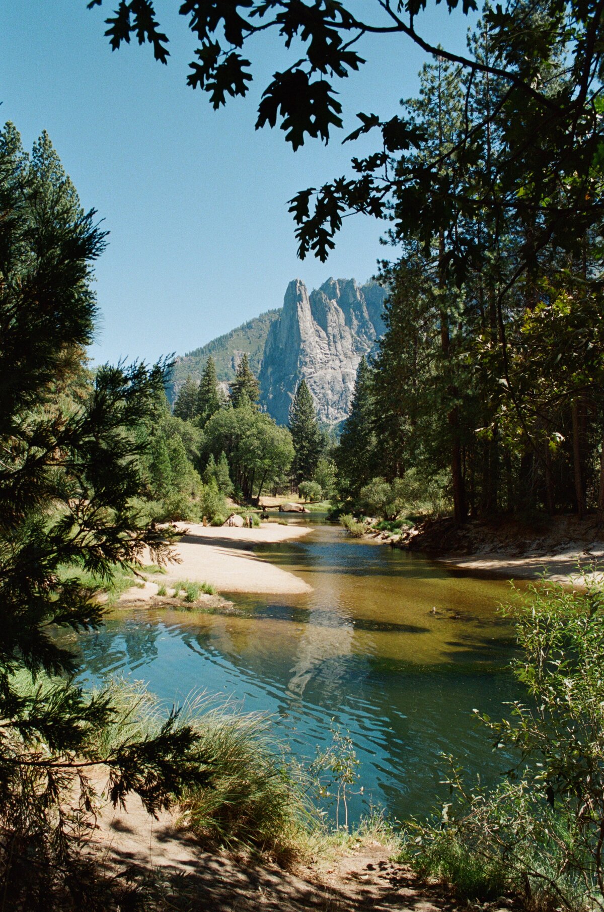 River on the Yosemite Valley floor captured on film by Kate Winters Photography, showcasing the peaceful beauty and stunning landscape in an authentic, documentary style.