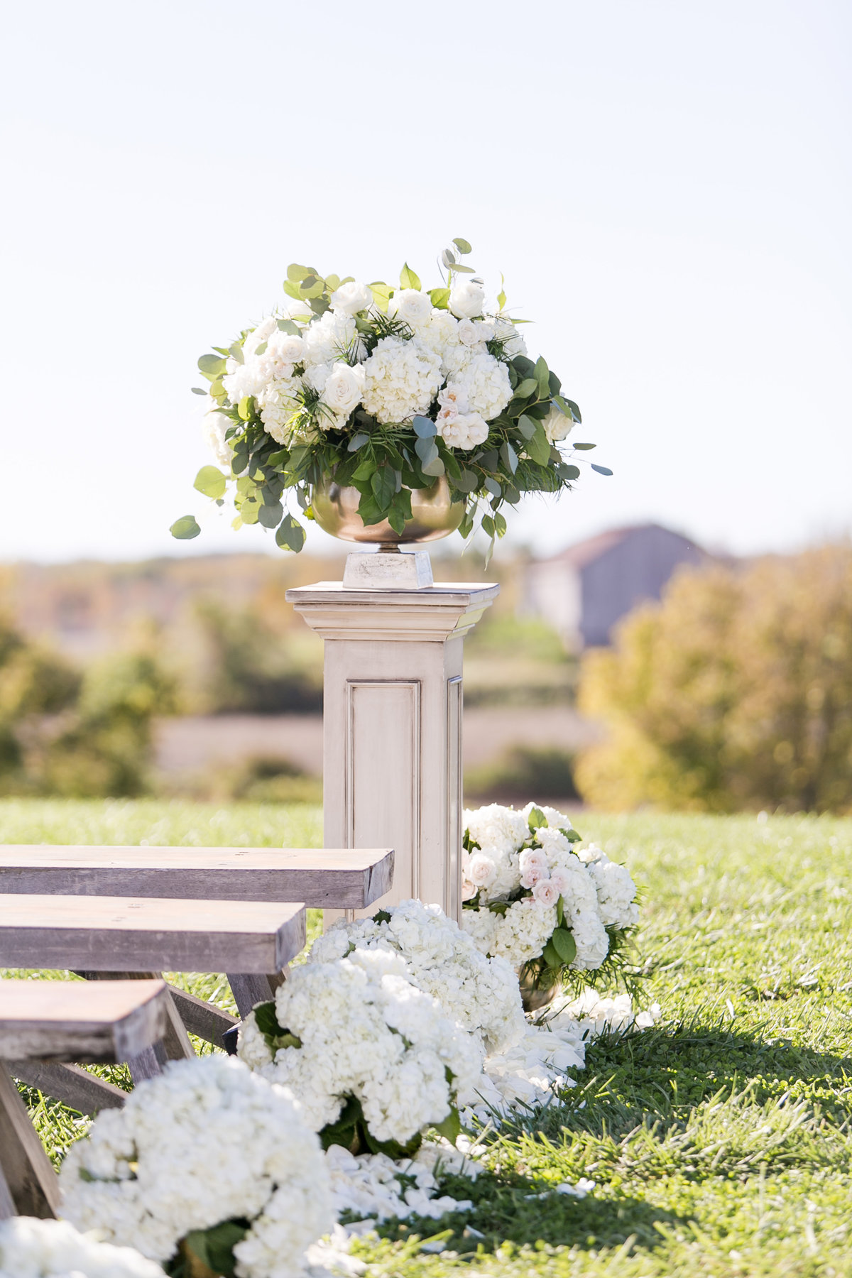 2017Oct22-Goza-Timberbarn-JanaMarie-0035