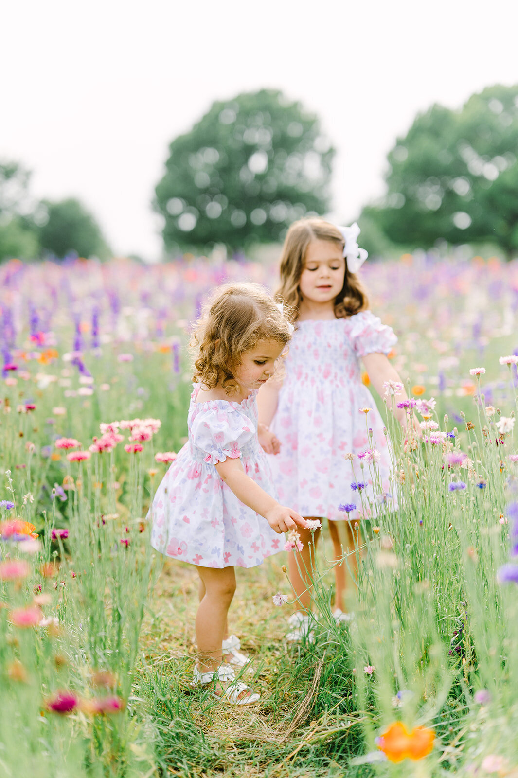 dallas-wildflower-photography-18