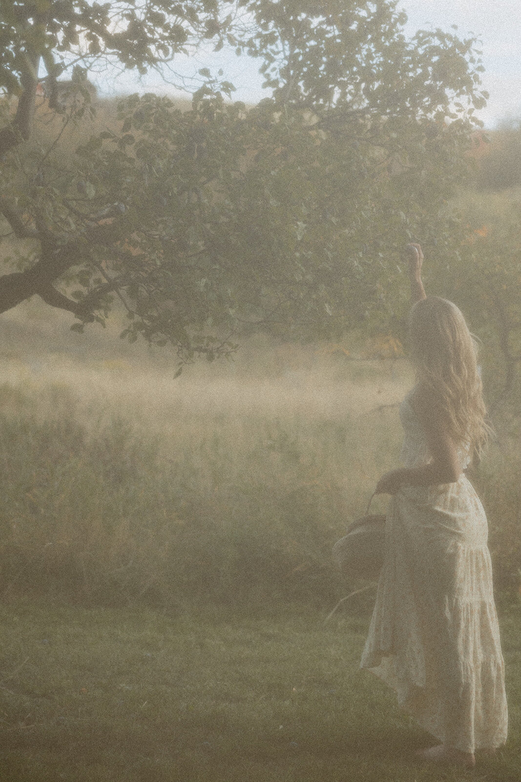 tanya-davids-photo-film-documentary-idaho-utah-oregon-washington-colorado-wedding-elopement-portrait-photographer-intention-session-apple-orchard-65
