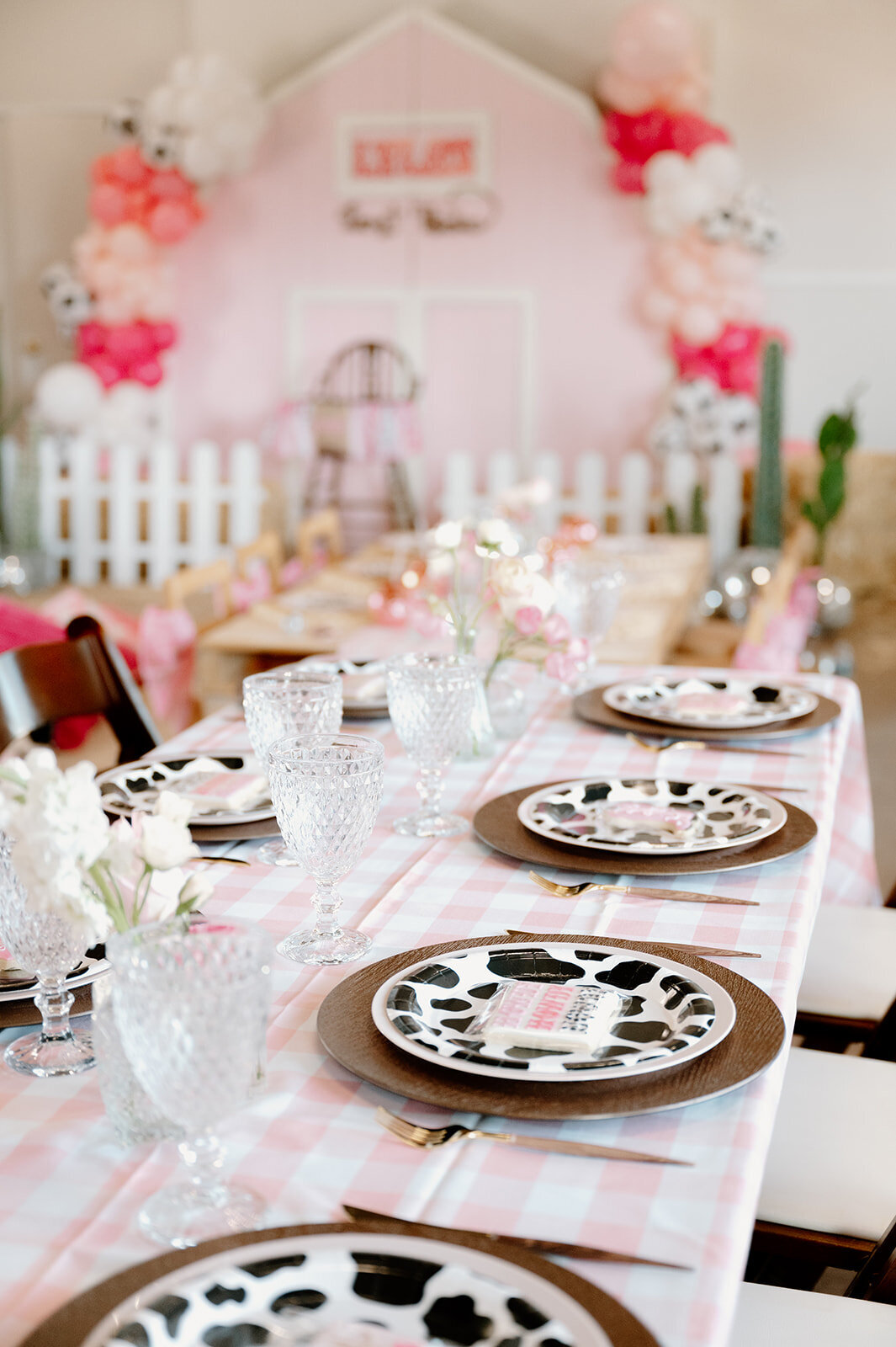 First Rodeo Kids Birthday Party