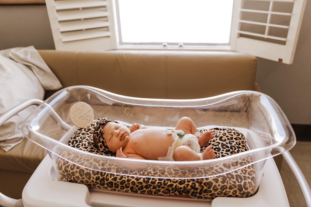 newborn baby in bassinet for fresh 48 session in phoenix arizona