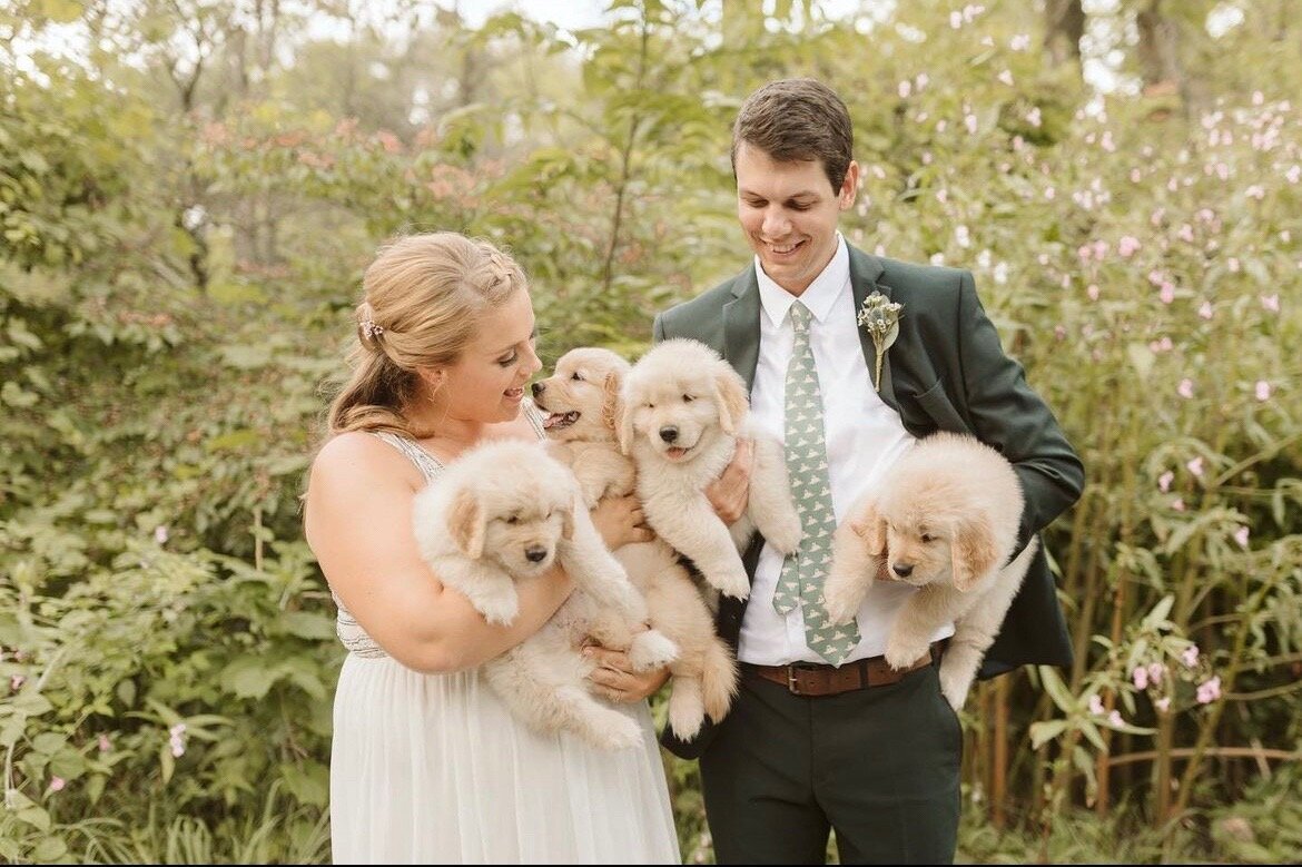 toronto-wedding-puppies-001