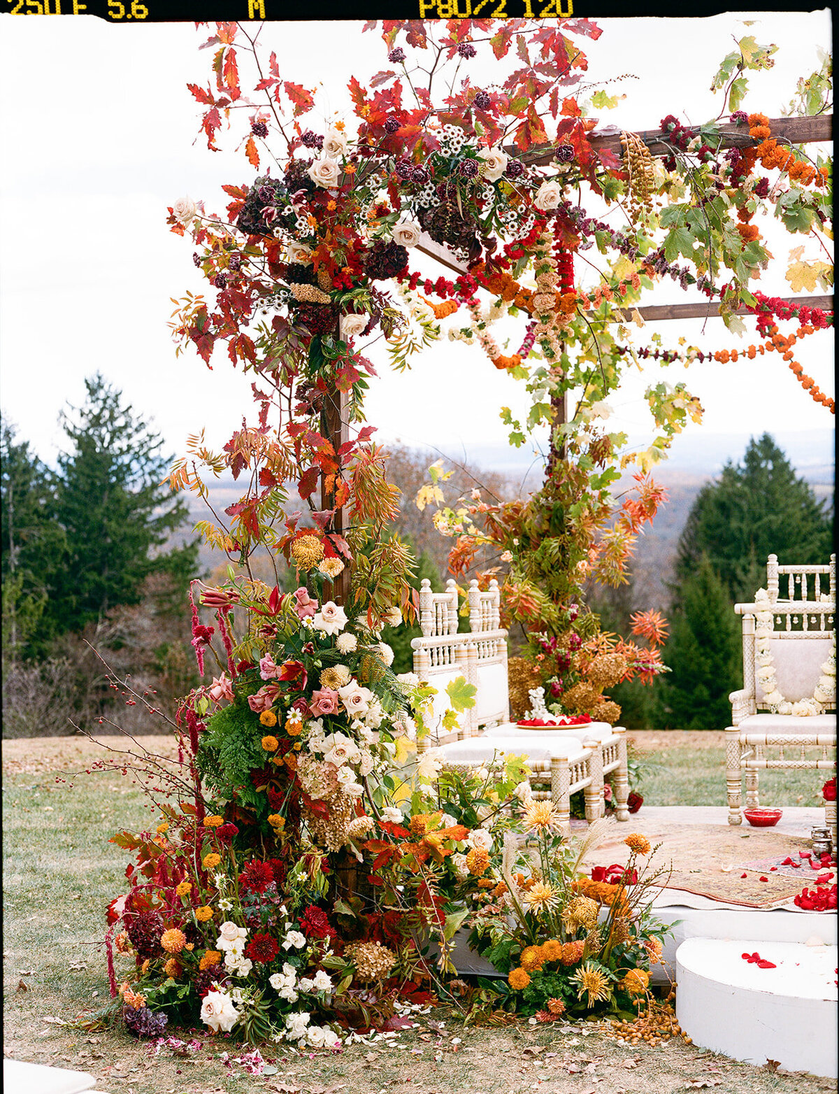 nicolerohan_firstceremony-68_websize