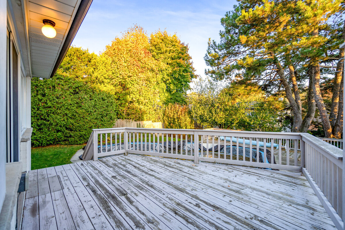 131_Backyard