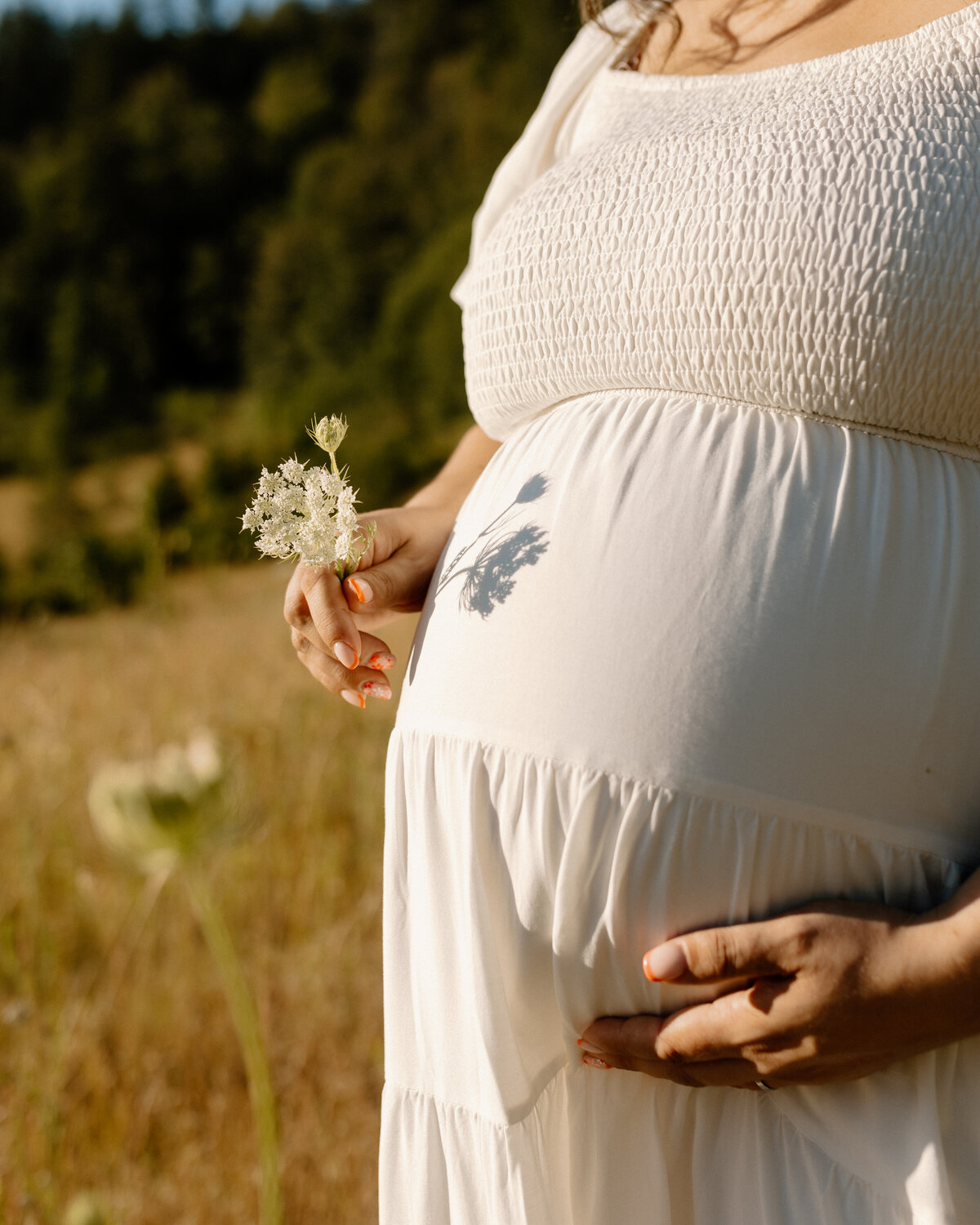 Seattle-maternity-photographer-8