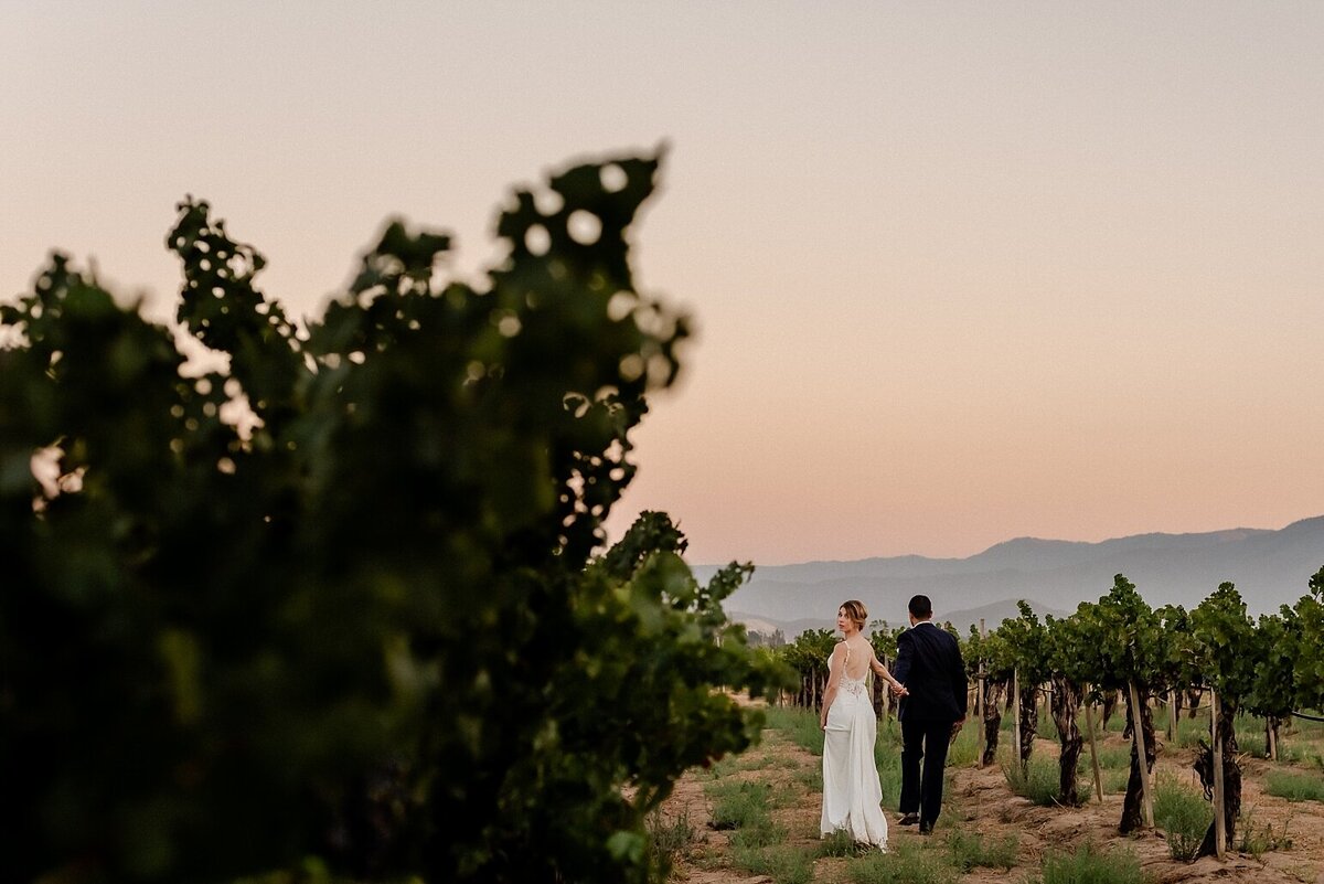 Falkner Winery Wedding