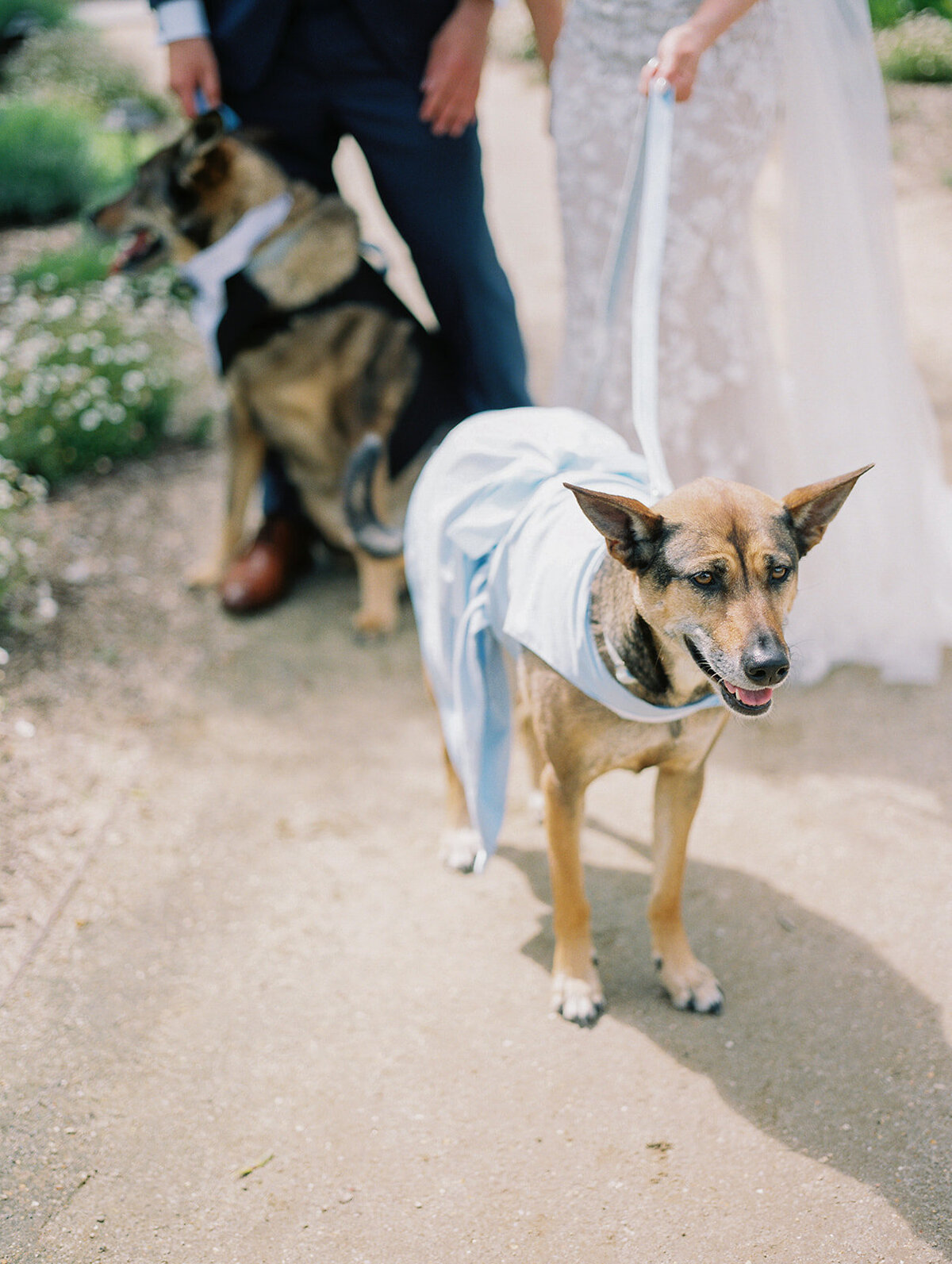 Luxury-Wedding-The-Barn-at-Harrow-Cellars-Sonoma-CA87