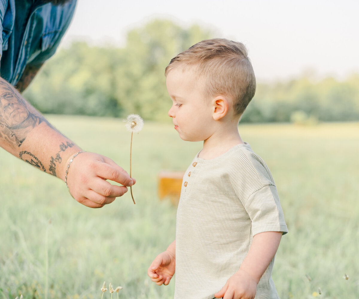 dad holding dandilion while toddler son blows it at mom's maternity photo shoot