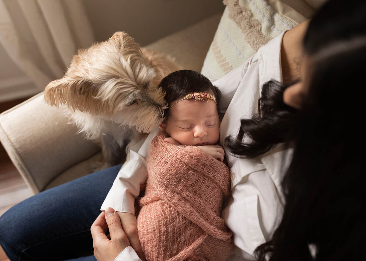 NJ baby photographer captures baby with her dog