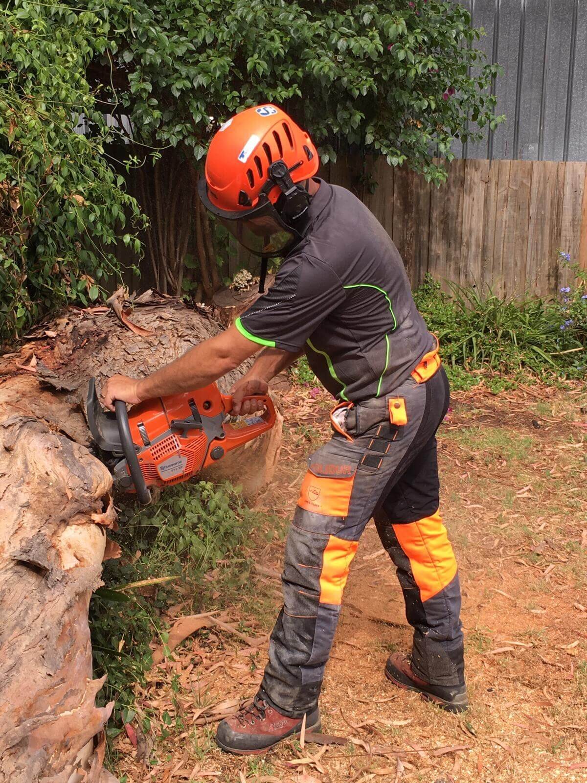 Evergreen Tree Services SA-Storm Damage Clean Up-001