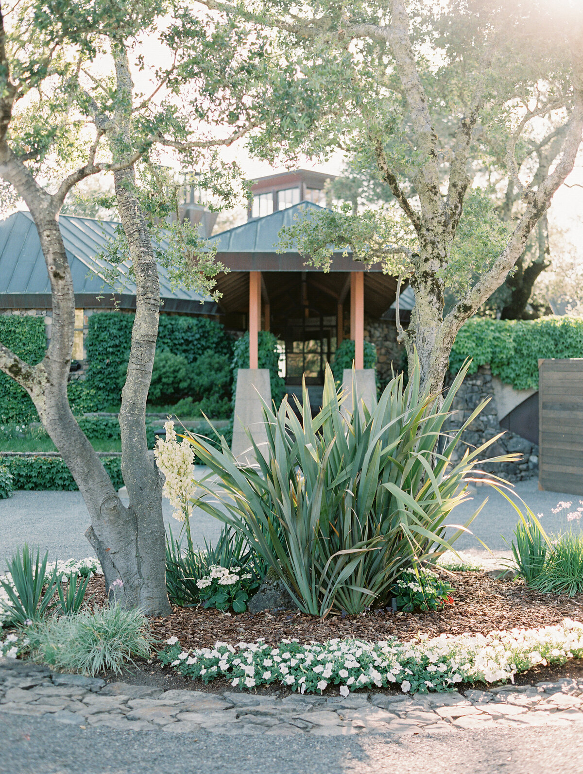 napa-sonoma-bay-area-wedding-photographers-the-tenneys-at-private-estate-wedding-06
