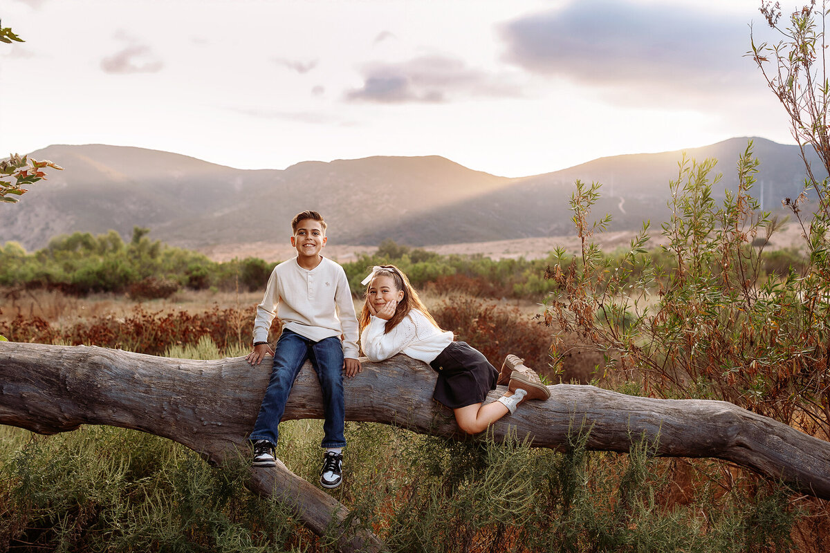 siblings playing on a giant tree during their colorado mountain photoshoot