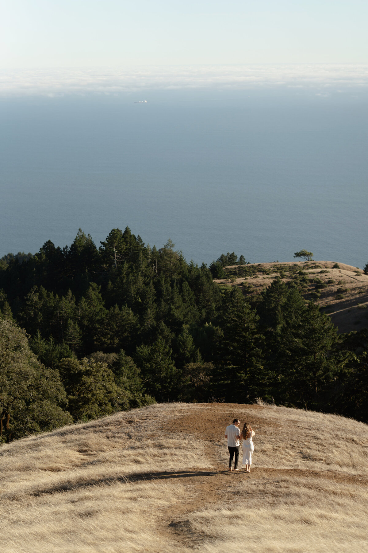 Redwoods-Elopement-164