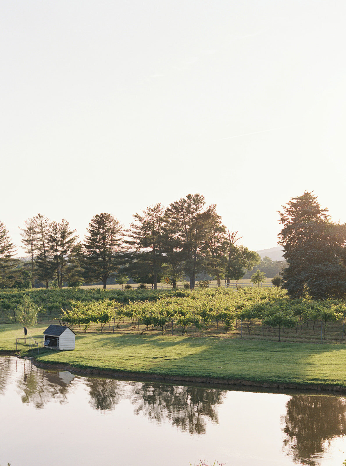 Virginia Wedding Photographer Natalie Jayne Photography-16-7