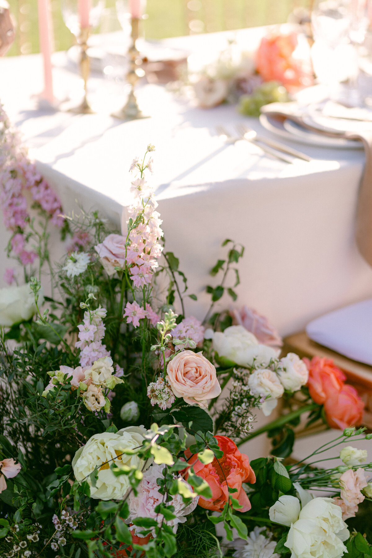 will-valeria-des-monts-8873