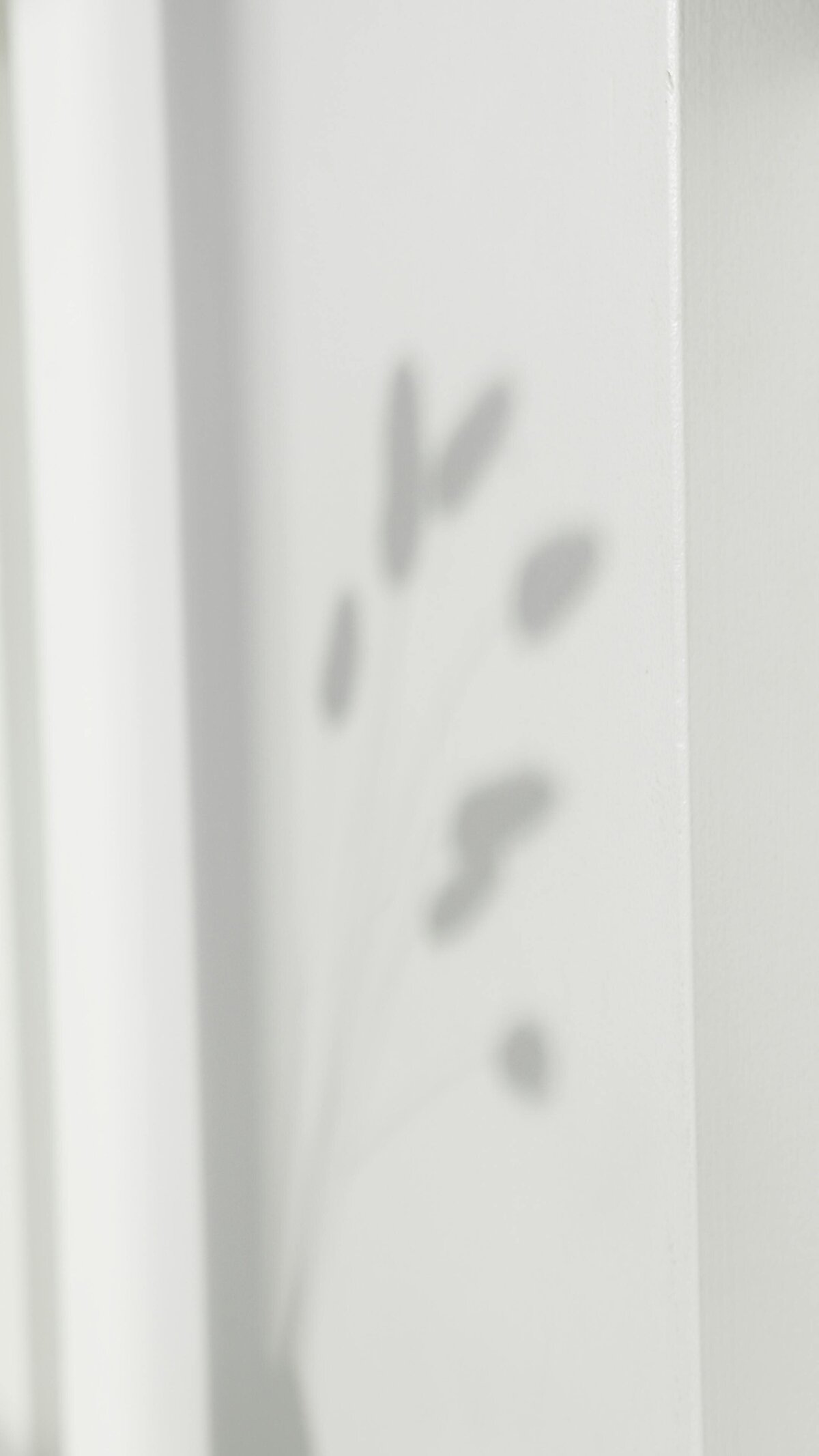 pexels-anna-nekrashevich-8516784