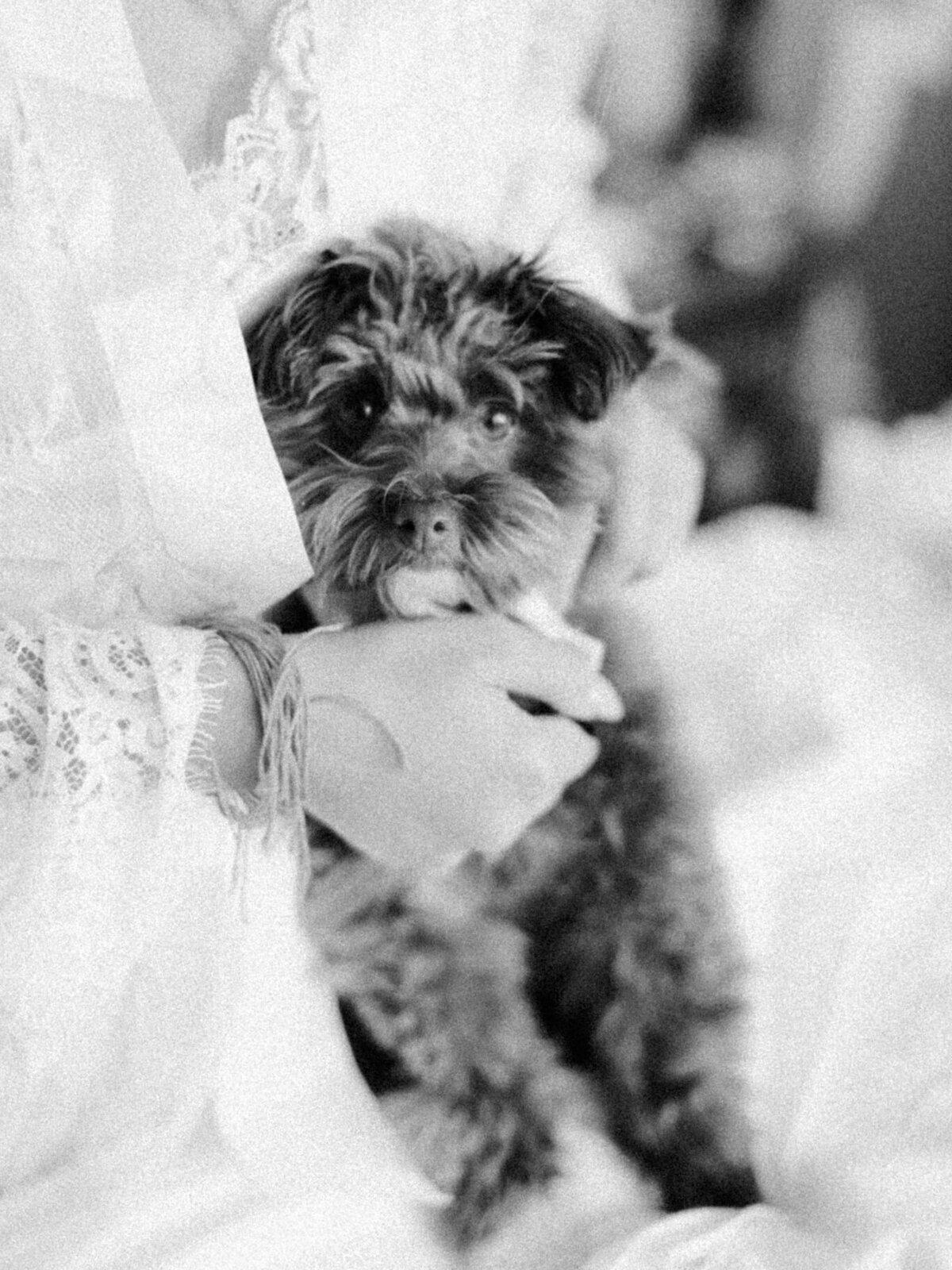 curtis-atrium-philadelphia-wedding-02