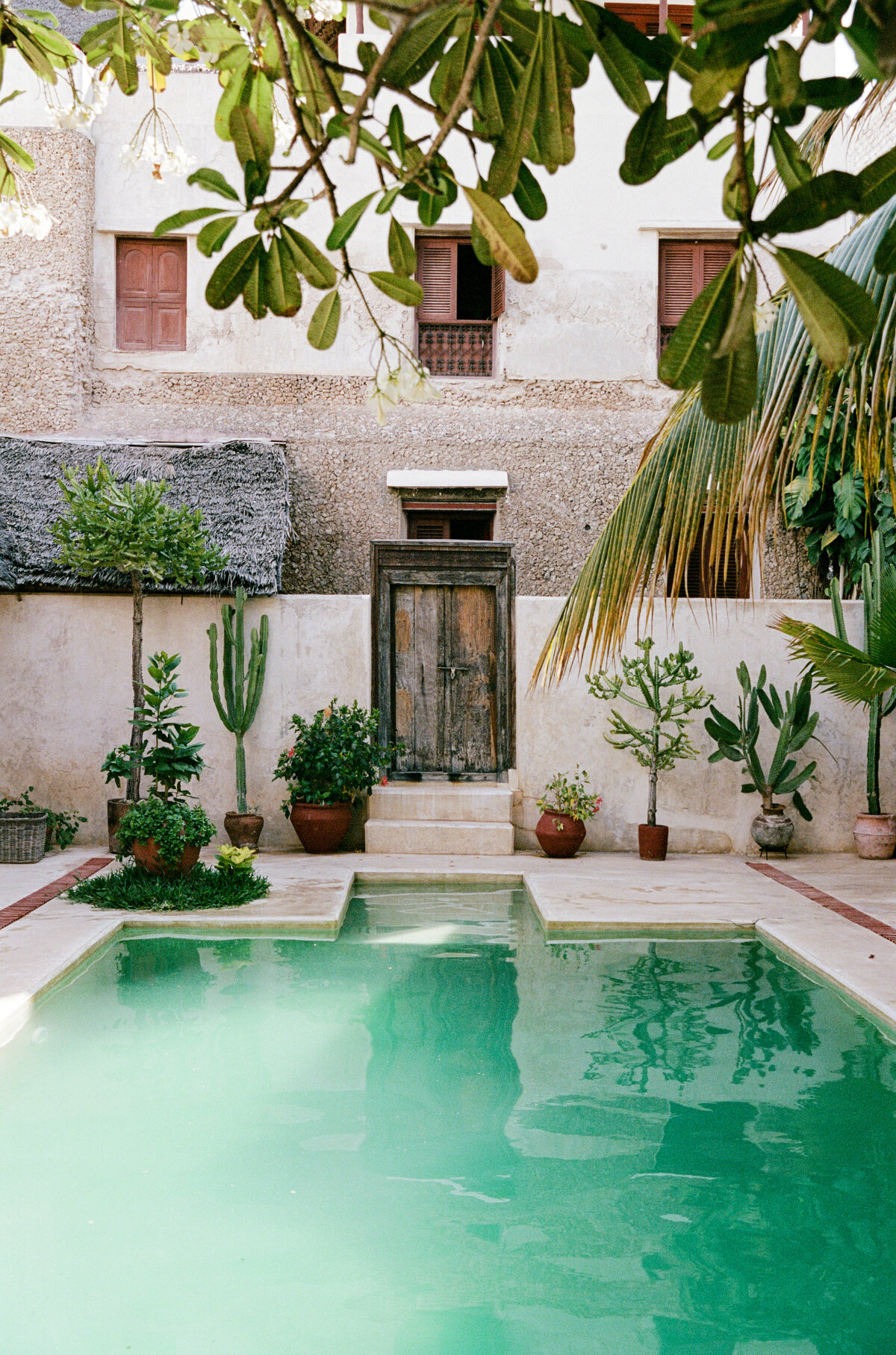 Jennylosee.com (128 of 139)