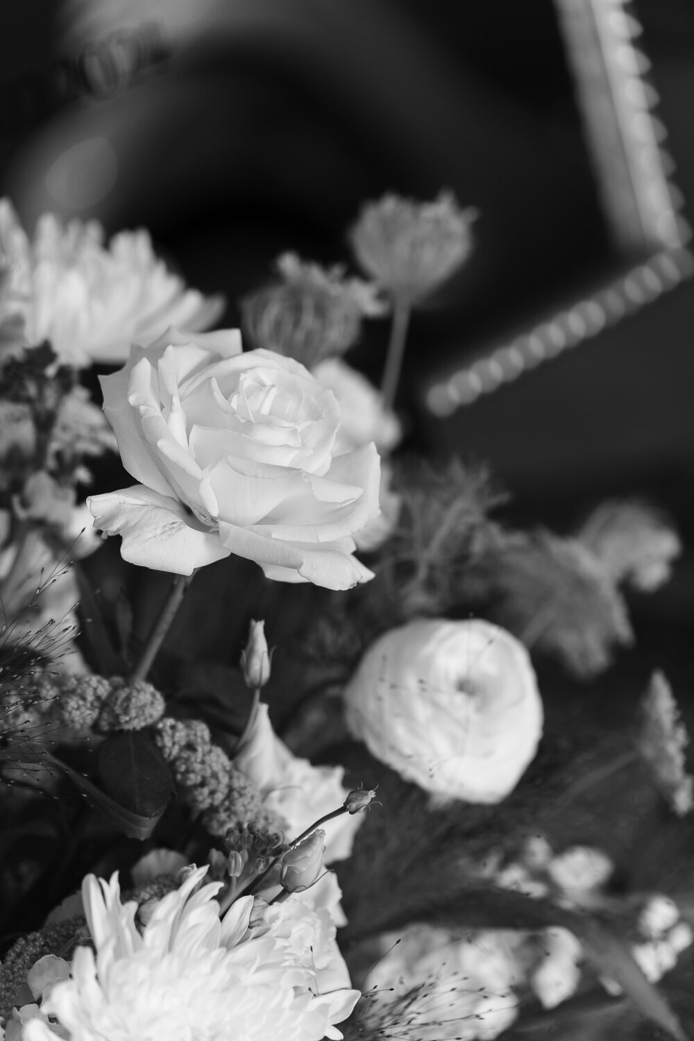 DSC02649