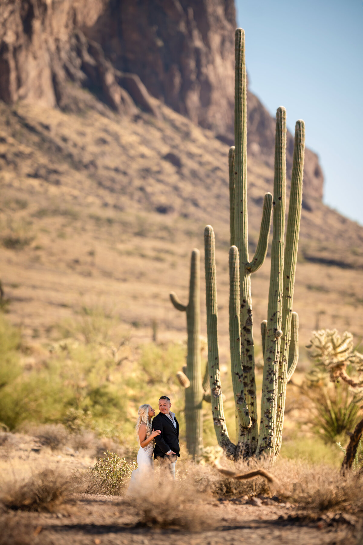 newlyweds look short next to tall cactus at Lost dutchman state park