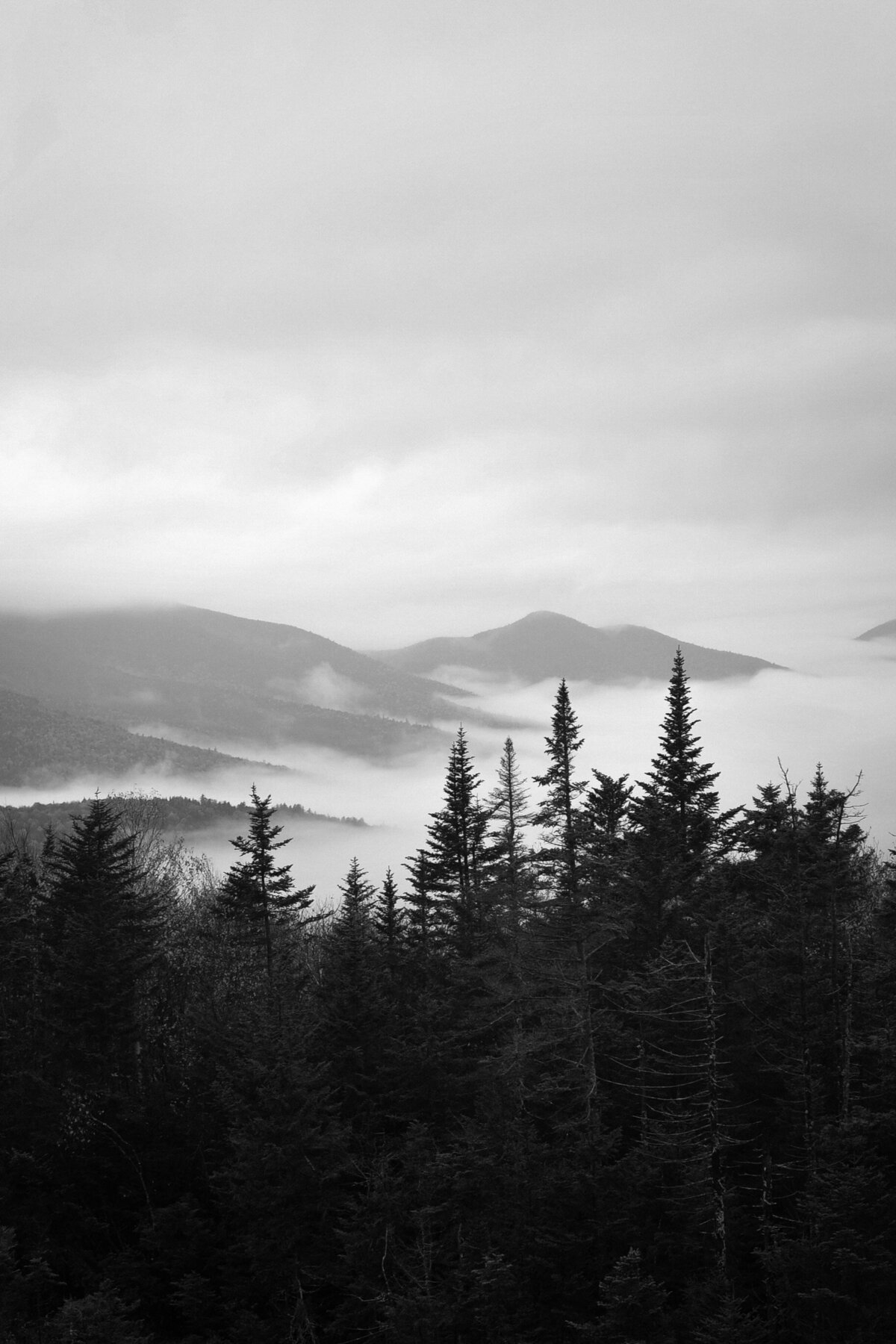 _BEC2793