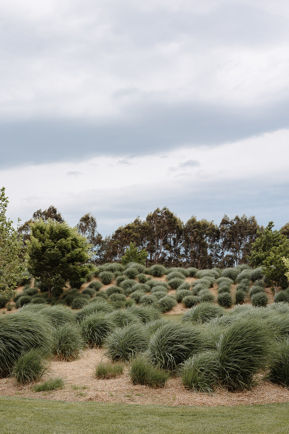 bendooley estate wedding