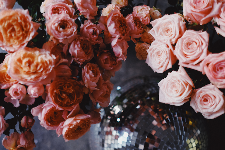 Small wedding celebration with personalised vows