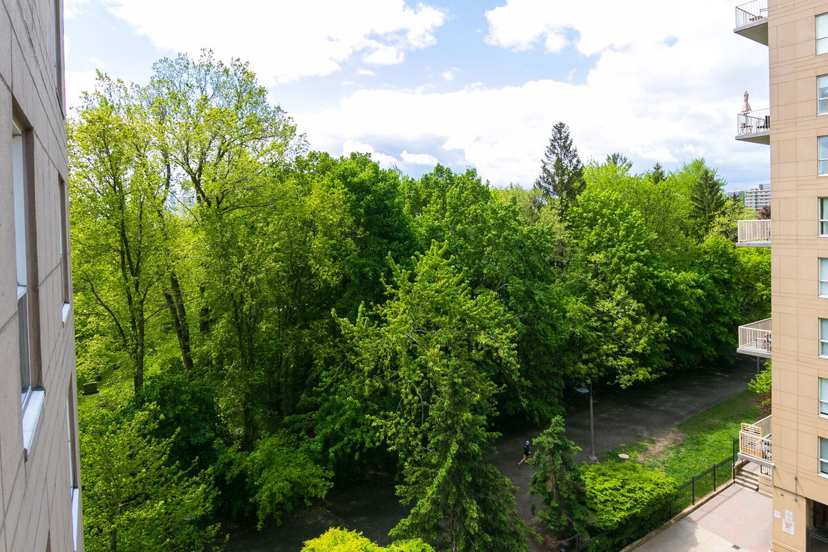 37-web-or-mls-78_001_View