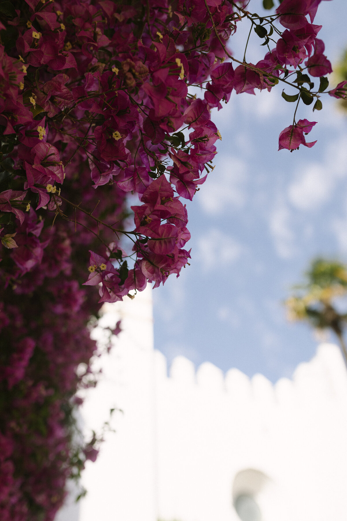 Aixa & Amer _GGWeddings_2025-206