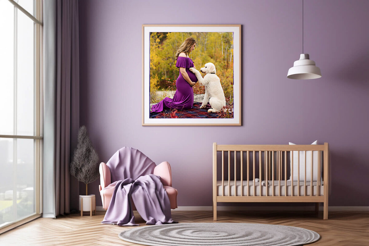 purple room with a framed photo of a pregnant woman and her dog for her outdoor fall maternity photography session
