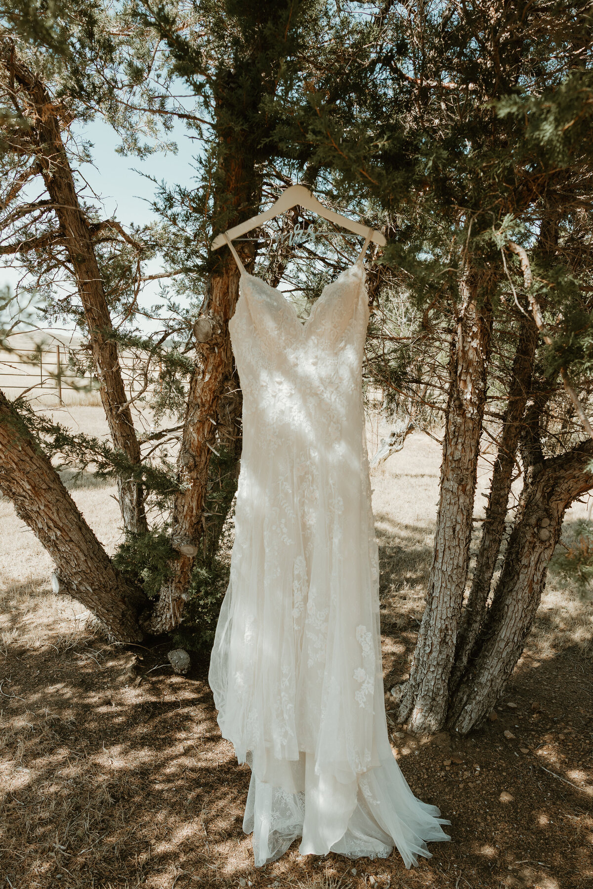 WebSizePhotos-Rachel Colvill Photography-Bozeman, Montana-Bozeman Photographer-September 01, 2024-C22A0134-2