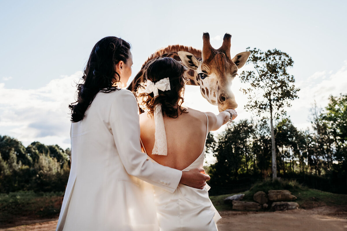 Sydney_Zoo_Wedding_Margan_Photography566