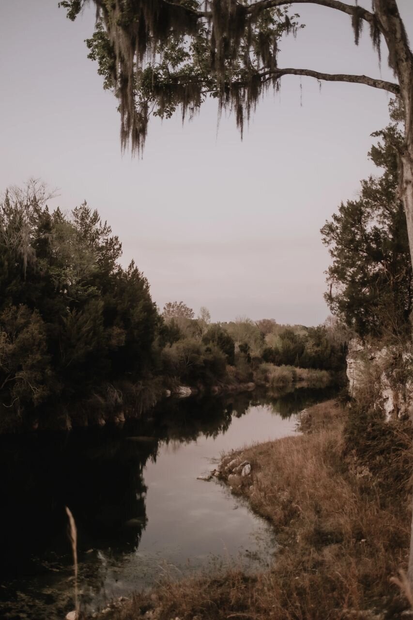 paisley-sunshine-white-rock-canyon-elope-in-tampa-chantilly-chic-celebrations-22