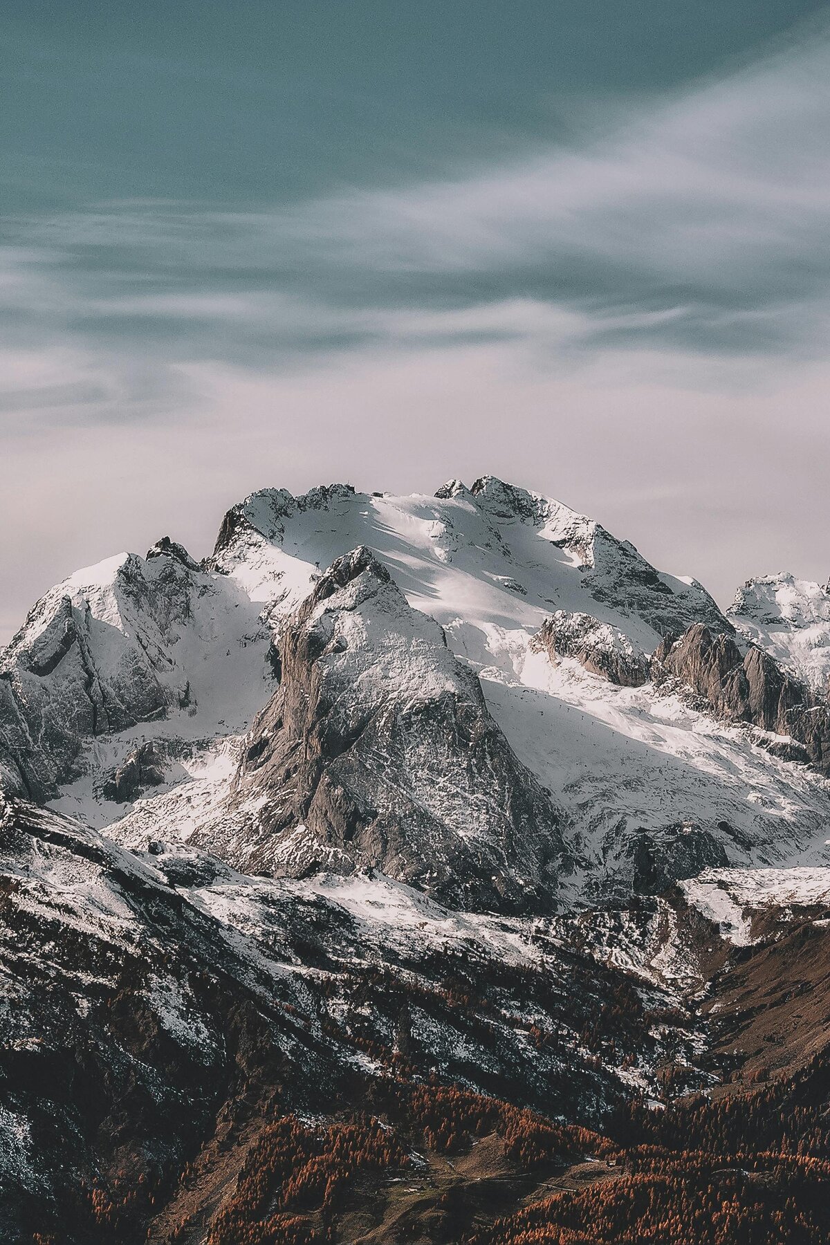 pexels-eberhardgross-1366919