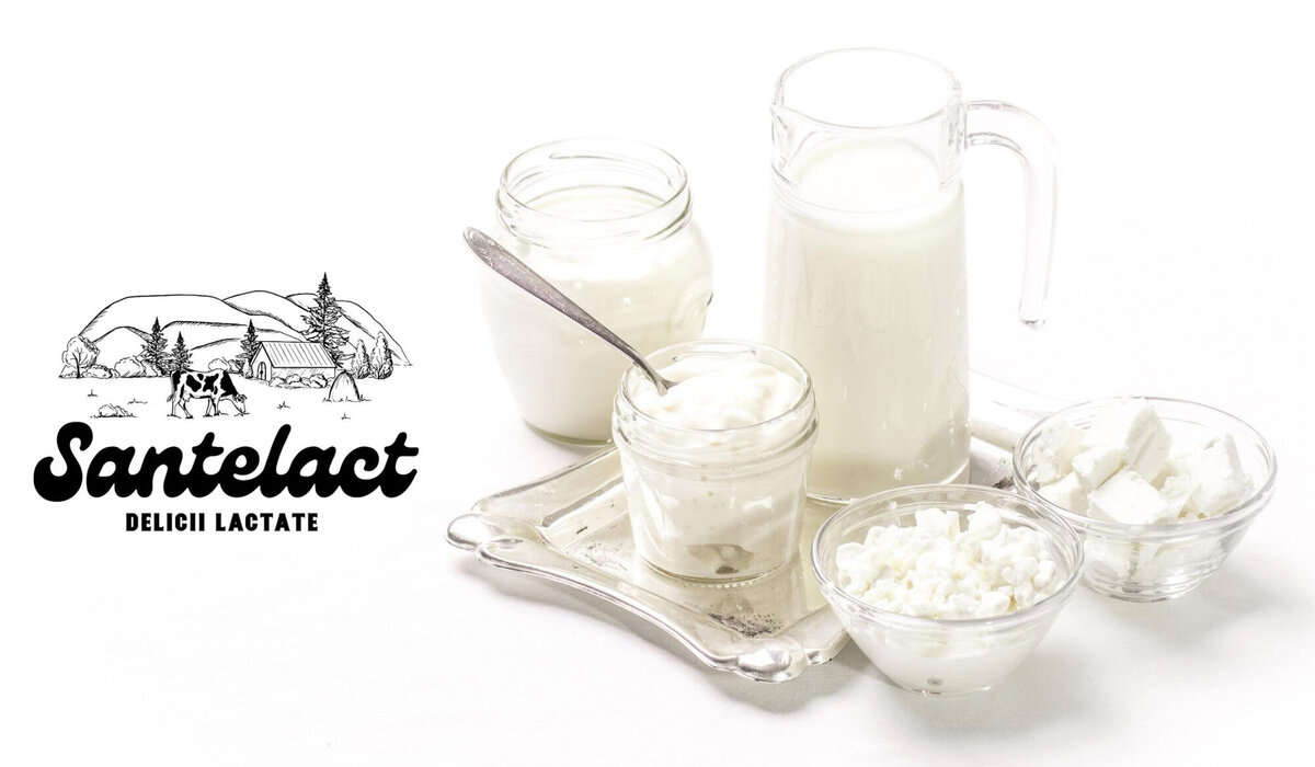 brand design for dairy company21