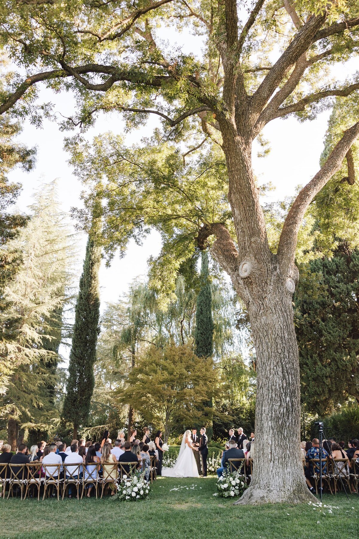 park-winters-wedding-shauna-clay-ashley-carlascio-photography-0524
