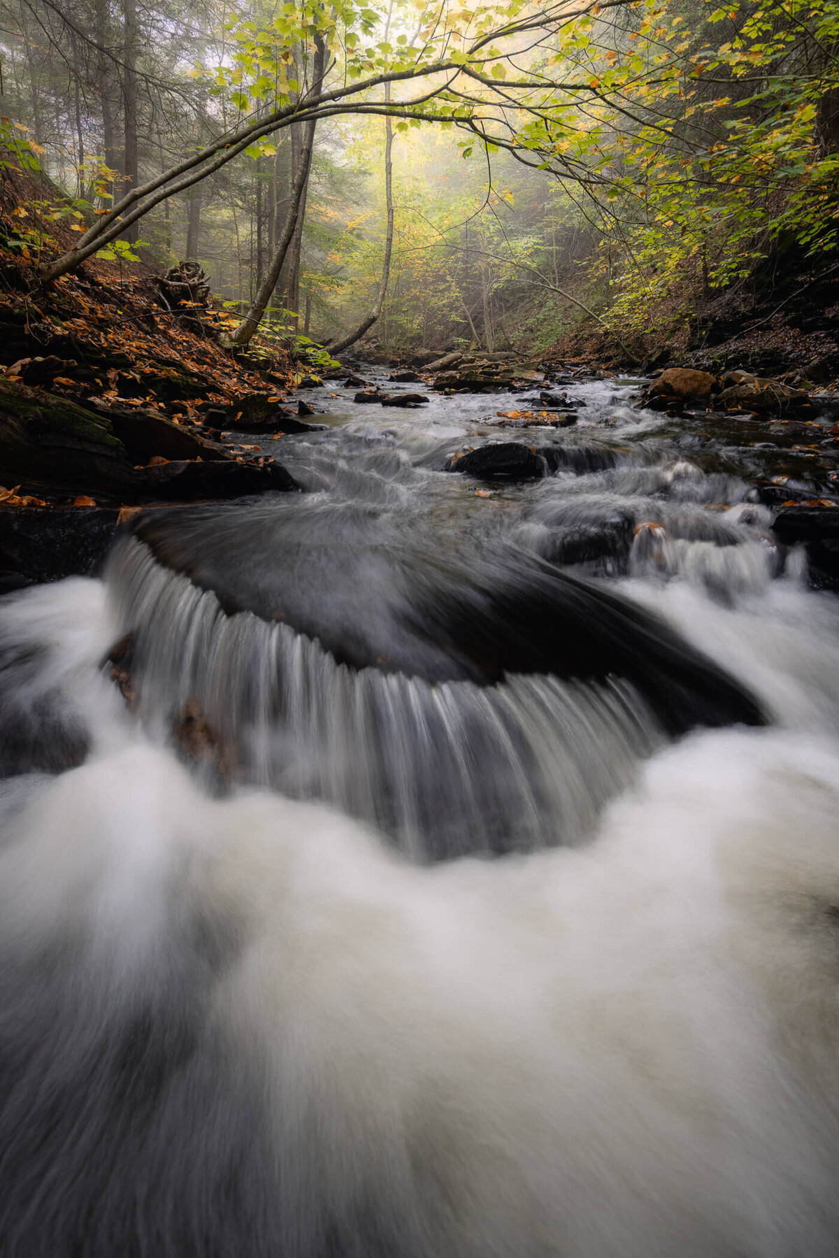 Appalachia-Pennsylvania-PA-Poconos-Landscape-Nature-Photography-Chrissy-Donadi-2