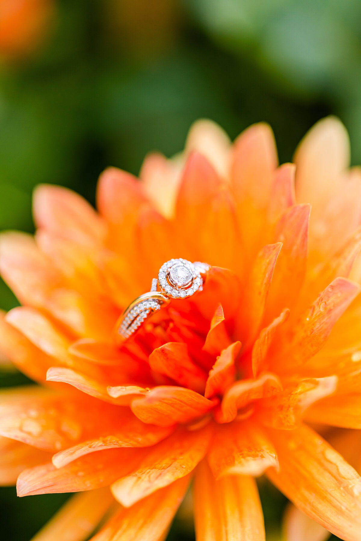 engagement ring macro shot with orange flower