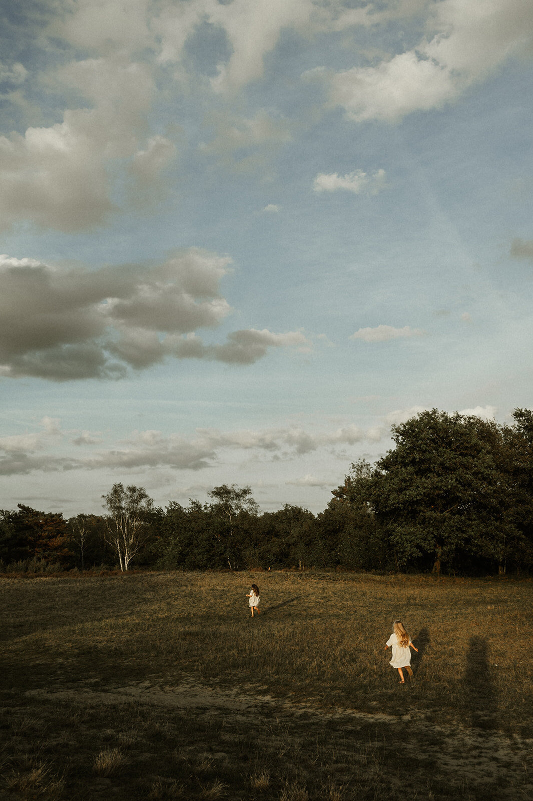 Gezinsfotografie in Nijlen tijdens golden hour – pure, spontane momenten vastgelegd in de heide.